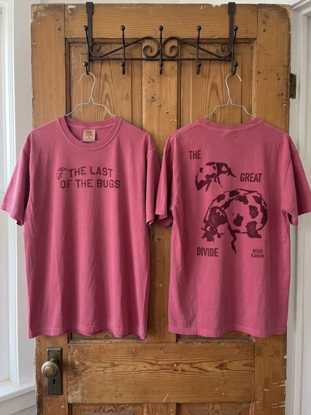 Noah Kahan Tour 2026 The Last Of The Bugs T-Shirt Reprint